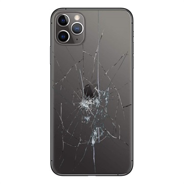 Oprava zpětného krytu pro iPhone 11 Pro Max - Pouze sklo